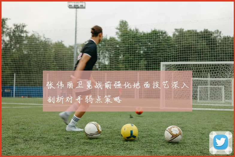 张伟丽卫冕战前强化地面技艺深入剖析对手弱点策略