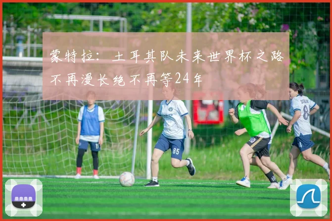 蒙特拉：土耳其队未来世界杯之路不再漫长绝不再等24年